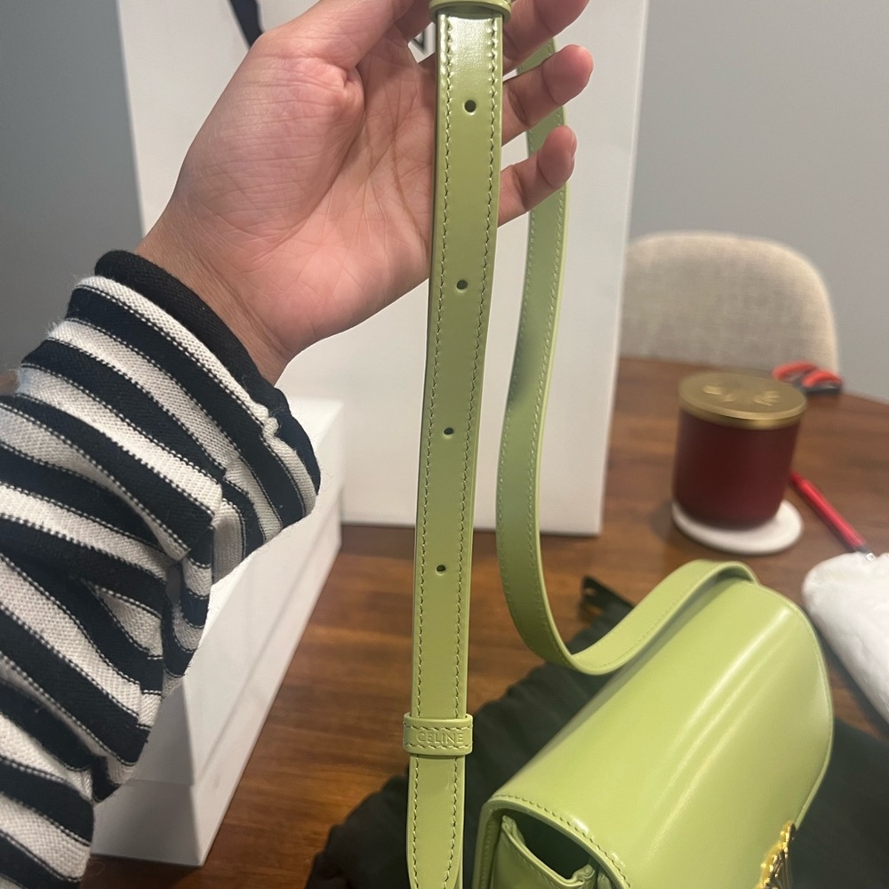 Celine Teen Triomphe Bag in Shiny Calfskin in Light Jade - Picture 10 of 11